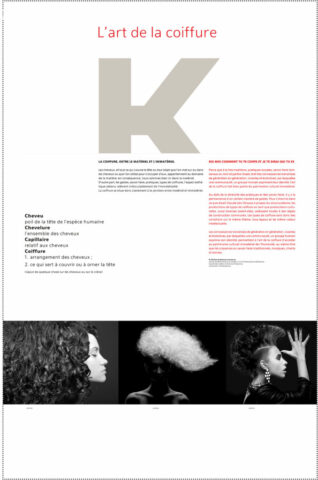 L'art de la coiffure création graphique : Crayon Noir