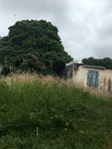 Lerka vue de la cour avec zoumine, 2020-02-24