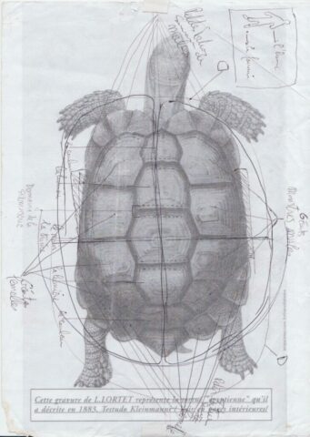 Floy, 12 travaux, manuscrit, Galerie La Ligne, mai 2014