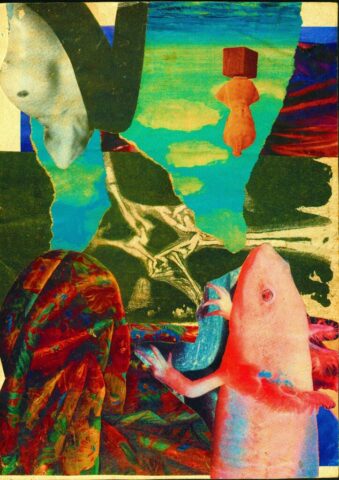 Floy collage 1
