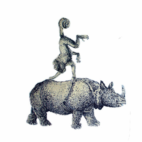 Lacaze Jean Marc, rhino monkey2, juil 2012