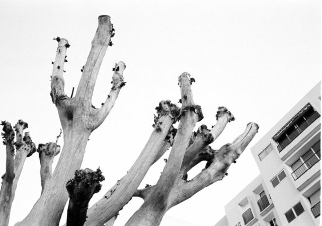 Limaziner Image d'une Ville Savignan