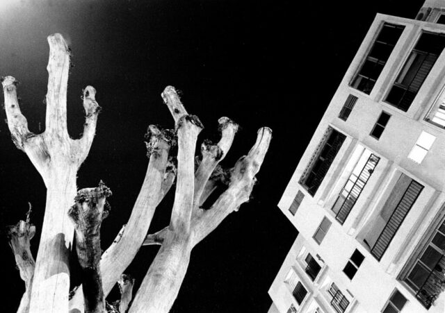 Limaziner Image d'une Ville Savignan